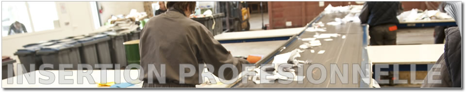 insertion professionnelle